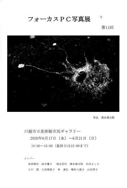 画像：DMはがき