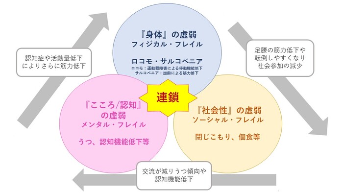 イラスト:身体フレイル(フィジカルフレイル)は、ロコモ(運動器障害による移動機能低下)やサルコペニア(加齢による筋力低下)、社会性の虚弱(ソーシャル・フレイル)は閉じこもりや個食、こころ/認知の虚弱(メンタル・フレイル)はうつや認知機能低下等が当てはまる。連鎖の詳細はホームページに記載。
