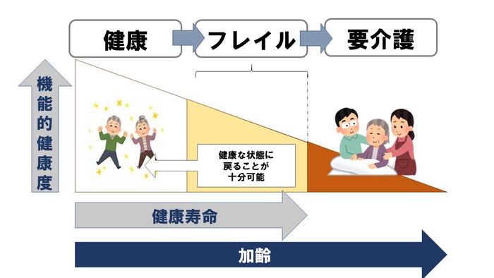 イラスト:フレイルとは、健康と要介護の中間の状態を指す。加齢に伴い機能的な健康は低下する。健康寿命は健康上の問題で日常生活が制限されていない状態であり、フレイルの状態で予防を行うことで健康な状態に戻ることが可能。