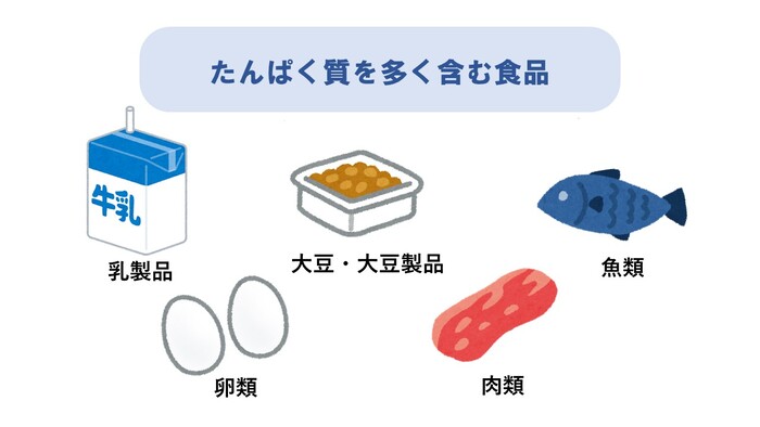 イラスト:タンパク質が多く含まれる食品として、乳製品、大豆や大豆製品、卵類、肉類、魚類などがある。