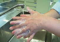 *手のひらを合わせ、よく洗います