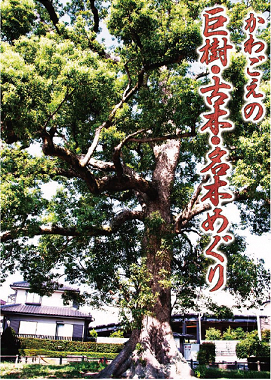 かわごえの巨樹・古木・名木めぐりの表紙写真