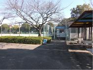 芳野台南公園テニスコート写真